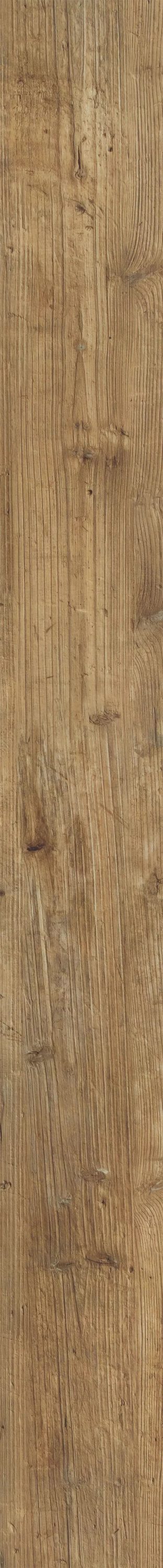 Shaw Tundra Plus Tall Pine 7-in Wide x 5-mm Thick Waterproof Luxury Vinyl Plank Flooring (18.91-sq ft)