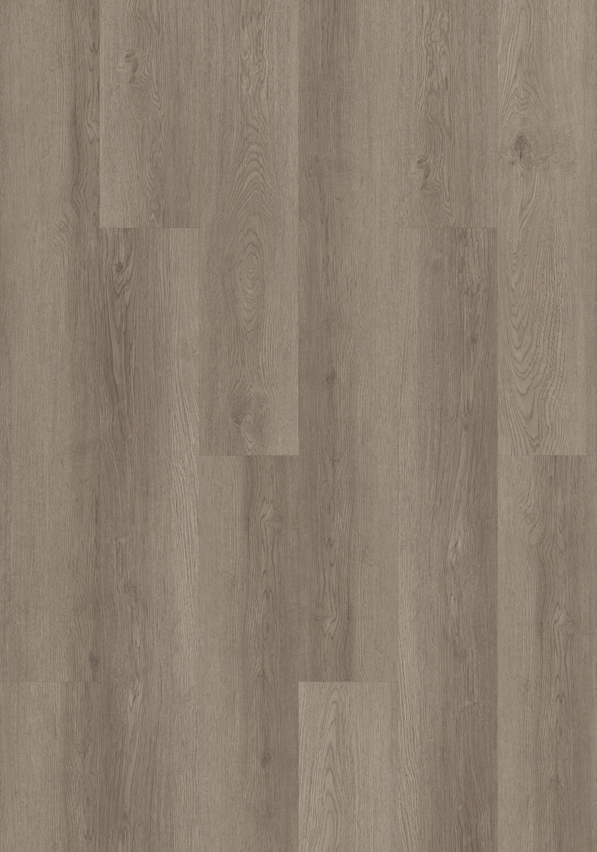 Shaw Boundless 8 Coastline Gray 8-mil x 7-in W x 48-in L Waterproof Glue Down Luxury Vinyl Plank Flooring (34.98-sq ft/ Carton)