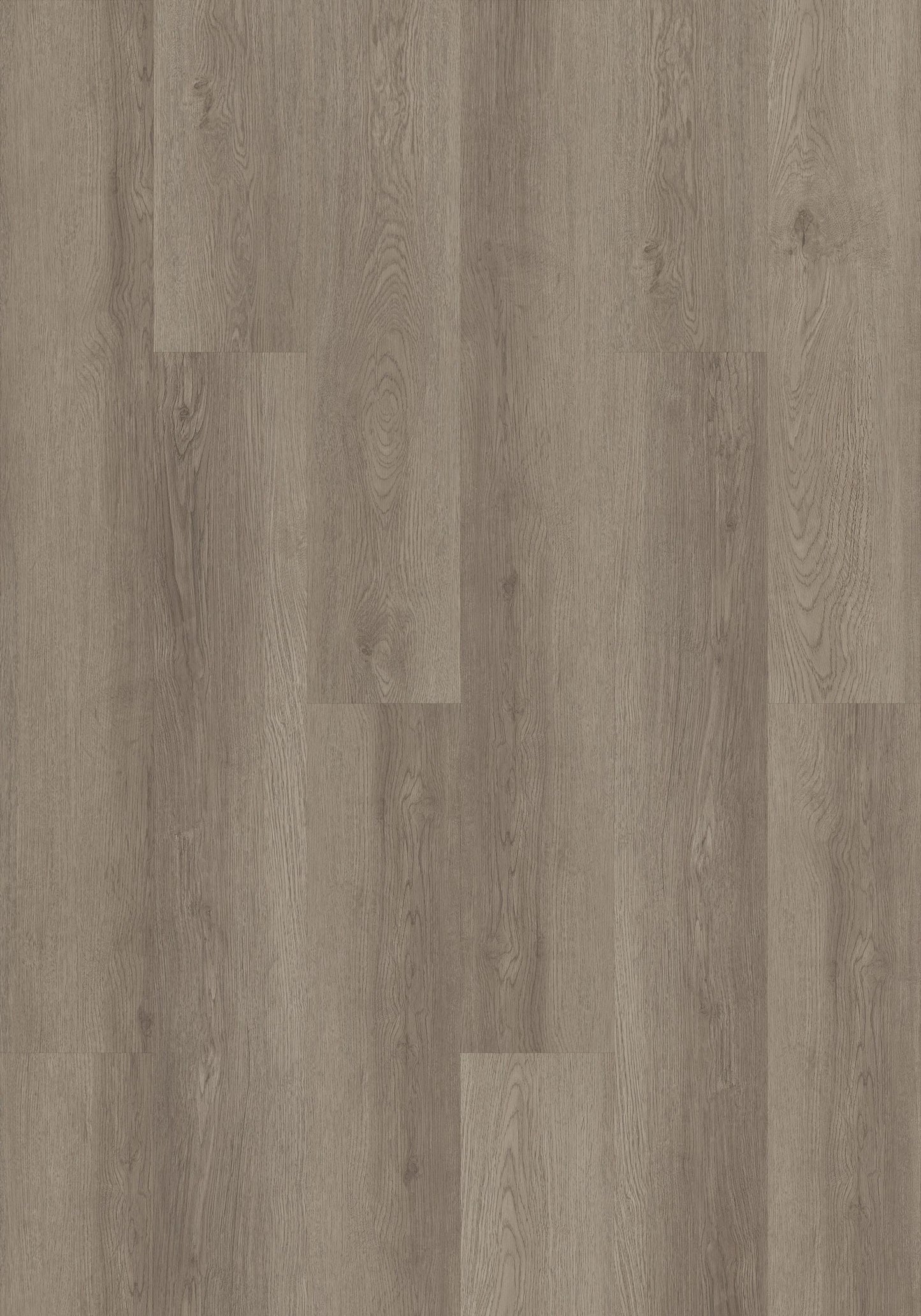 Shaw Boundless 8 Coastline Gray 8-mil x 7-in W x 48-in L Waterproof Glue Down Luxury Vinyl Plank Flooring (34.98-sq ft/ Carton)