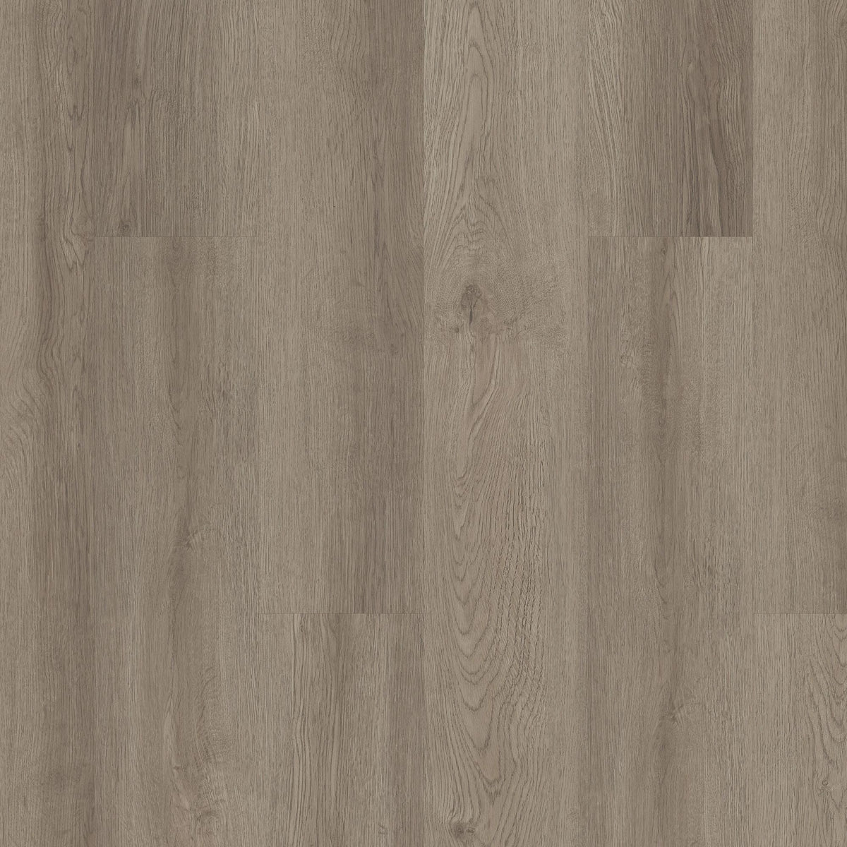 Shaw Boundless 8 Coastline Gray 8-mil x 7-in W x 48-in L Waterproof Glue Down Luxury Vinyl Plank Flooring (34.98-sq ft/ Carton)
