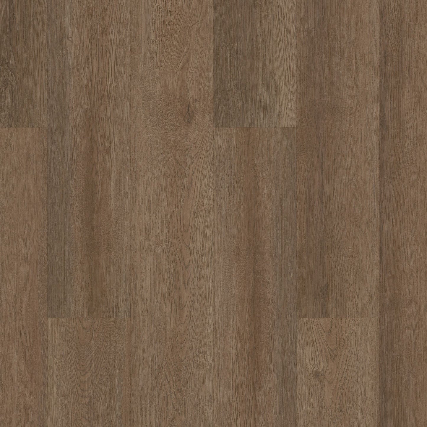 Shaw Boundless 8 Live Sienna Brown 8-mil x 7-in W x 48-in L Waterproof Glue Down Luxury Vinyl Plank Flooring (34.98-sq ft/ Carton)