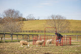 Tarter 6-ft H x 4-ft W Red Powder Coat Steel Corral Flat-top Farm Fence Gate