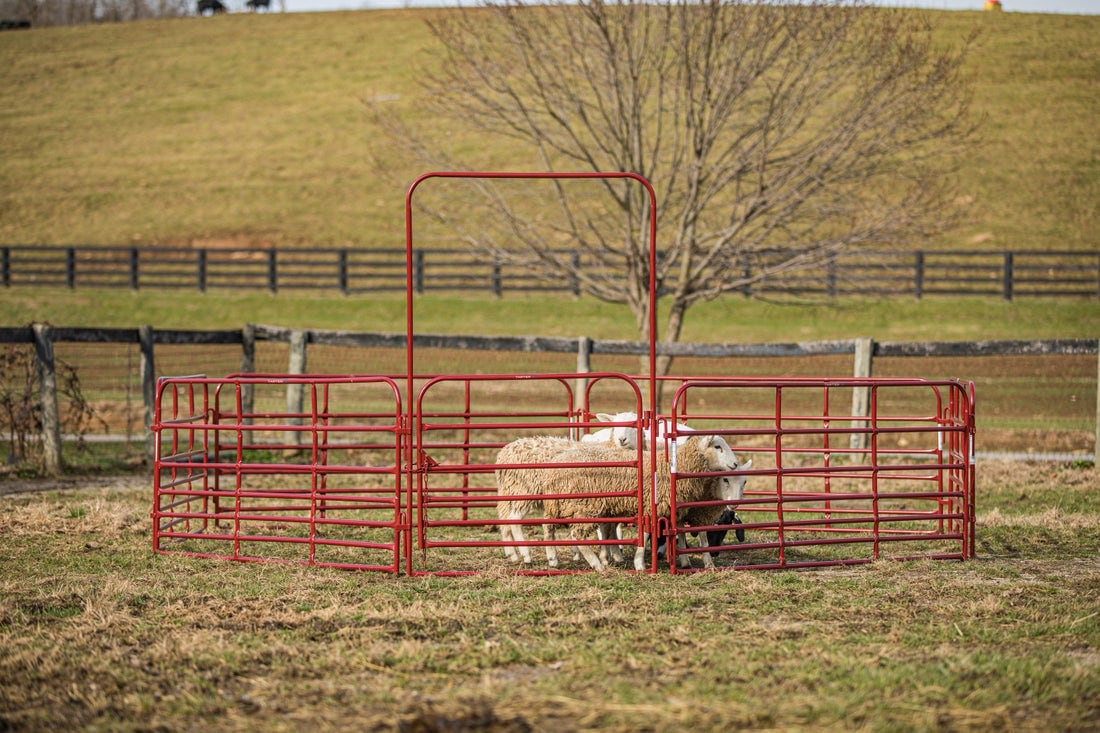 Tarter 3-ft H x 8-ft W Red Powder Coat Steel Corral Flat-top Containment Fence Gate