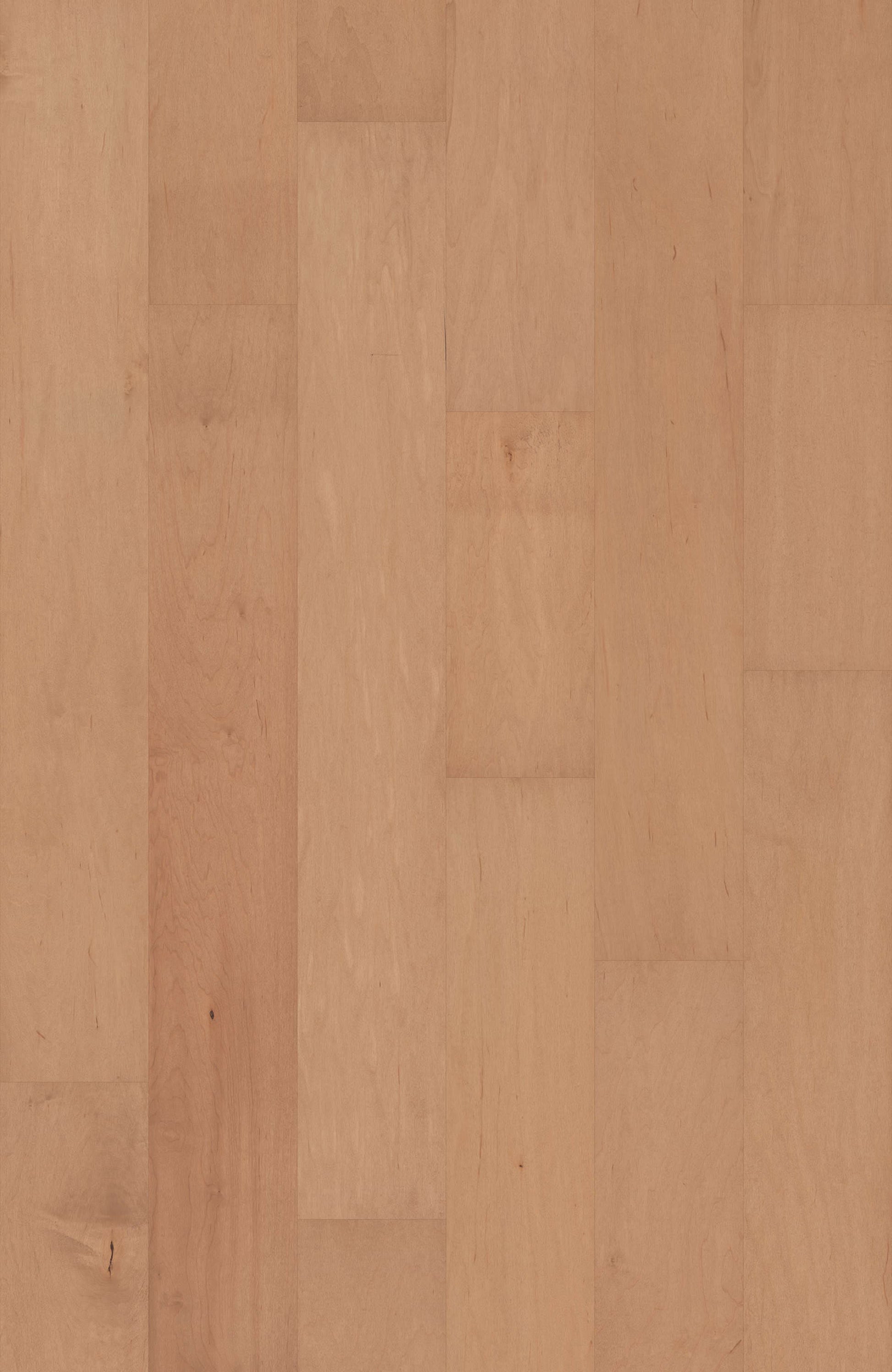 SMARTCORE Maple Monteagle hardwood flooring — view 12