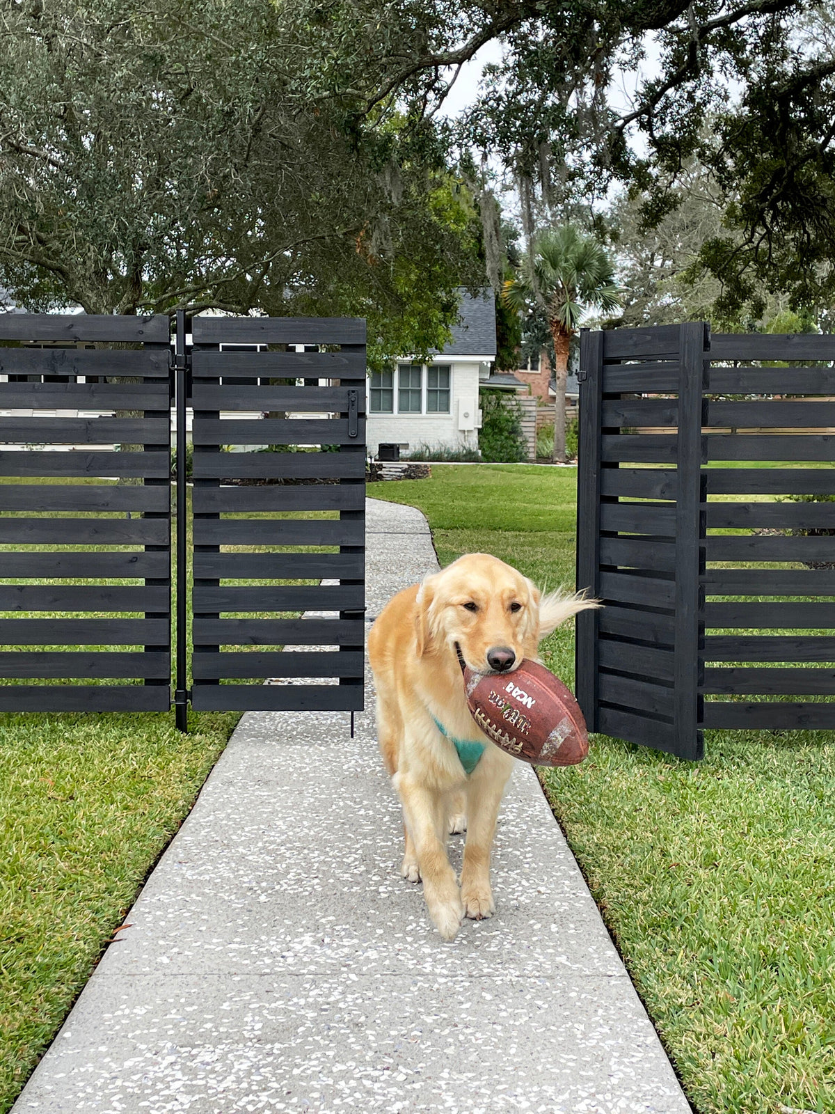 YARDLINK 3.8-ft x 3.5-ft Black Flat-top Board-on-board No Dig Decorative Wood Fence Gate