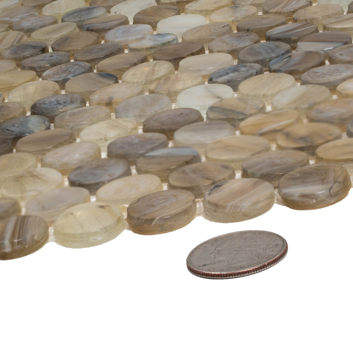 Apollo Tile (Sample) Majeste Brown 4-in x 4-in Glossy Glass Penny Round Mosaic Floor and Wall Tile