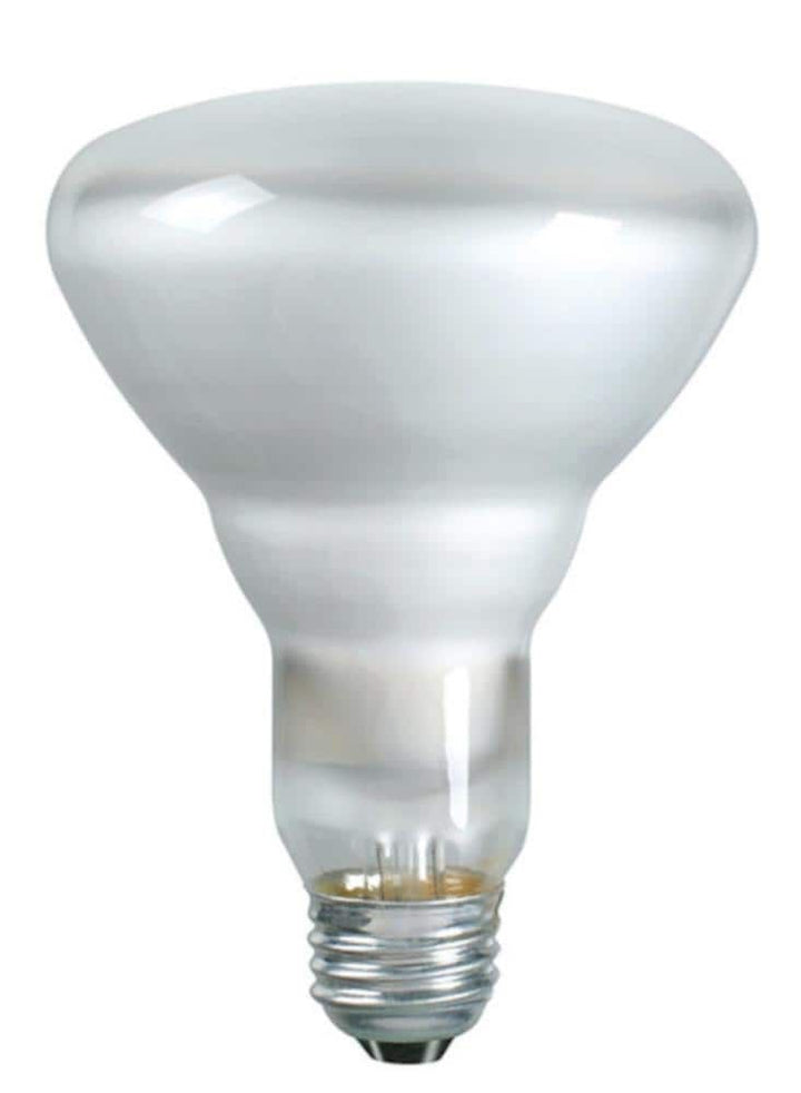 Philips 65-Watt BR30 Incandescent 130-Volt Flood Light Bulb (12-Pack)