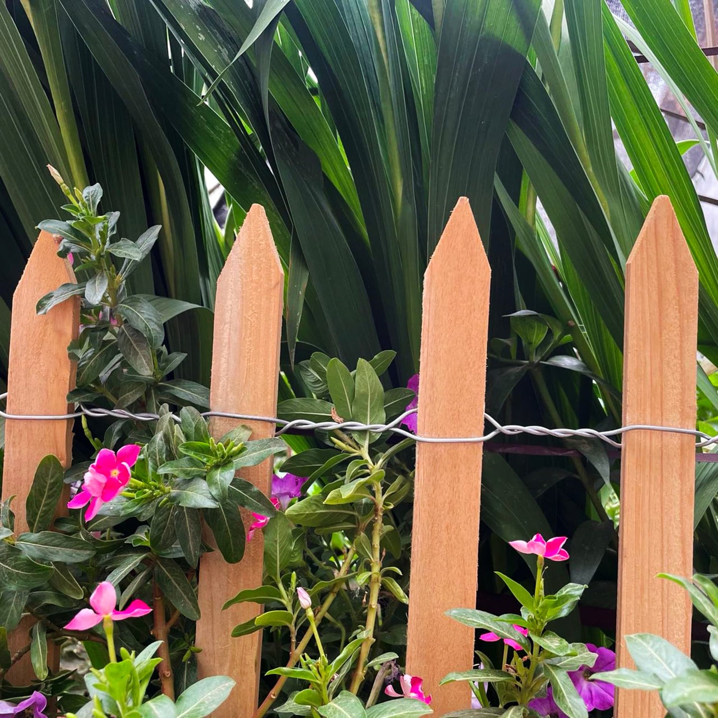 Cedar Brown Woven Wire Rolled Fencing - 15ft x 2ft