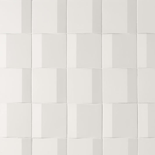 Artmore Tile Zest White 5-in x 5-in Matte Porcelain Encaustic Wall Tile product image
