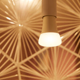 Philips Hue White Ambiance A19 LED Bulb, 60W Equivalent, Dimmable Smart Wireless, E26 Base, 800 Lumens