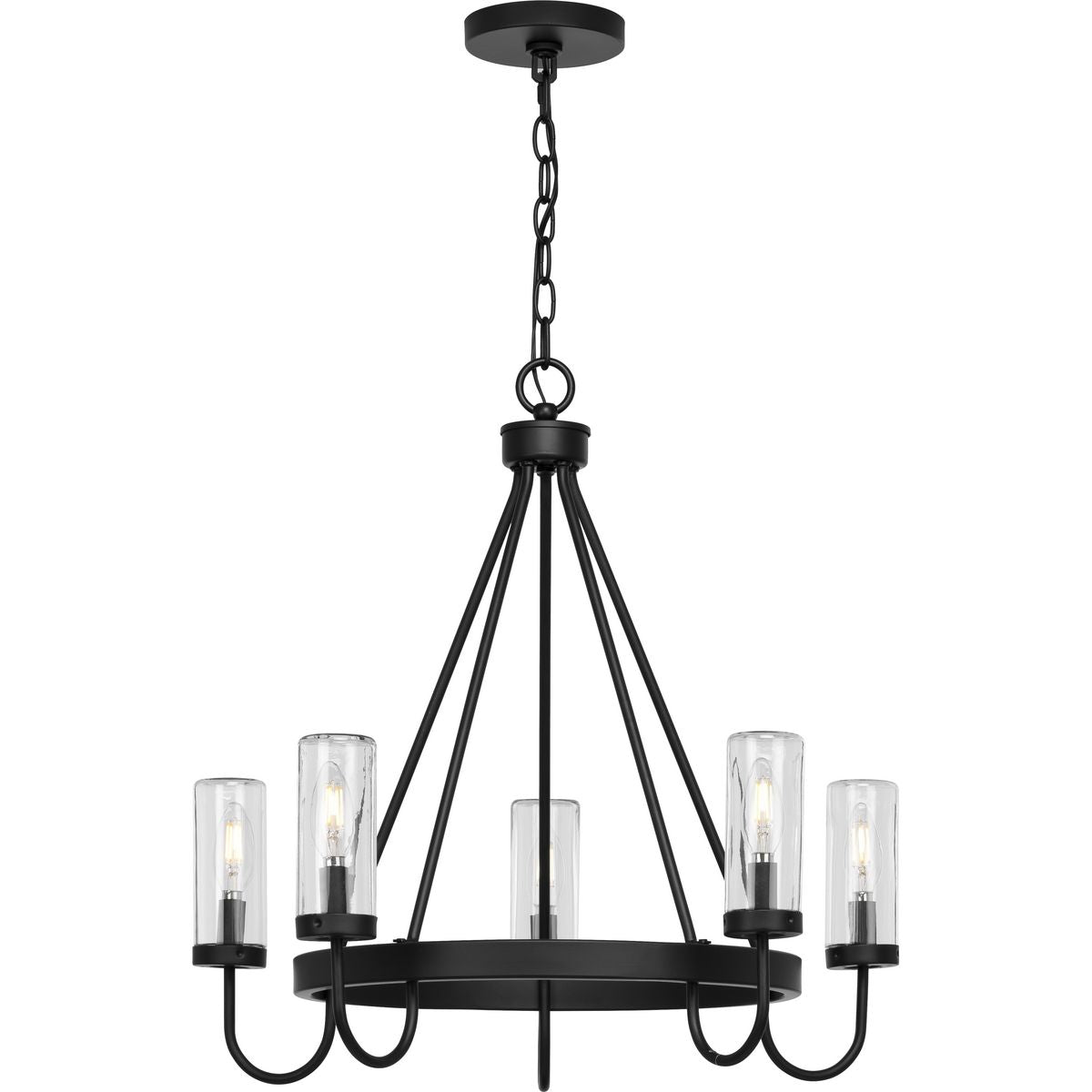 Progress Lighting Swansea 5-Light Matte Black Transitional Outdoor Chandelier