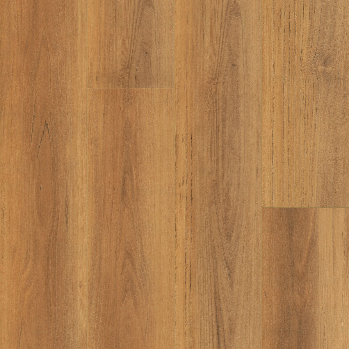 CALI Mute Step New Horizon Teak 6.5-mm x 7-in W x 48-in L Waterproof Luxury Vinyl Plank Flooring (24.03-sq ft/case)