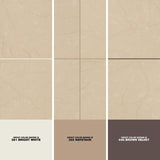 MSI Monterosa Beige 20 in. x 20 in. Polished Porcelain Floor and Wall Tile (19.44 sq. ft. / case)
