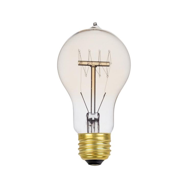 Globe Electric 60-Watt Incandescent A19 Vintage Quad Loop Medium Base Light Bulb