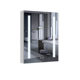 WELLFOR VICK 20-in x 30-in Lighted LED Fog Free Surface/Recessed Mount Silver Mirrored Soft Close Medicine Cabinet with Outlet
