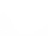 White 12 in. x 24 in. Matte Porcelain Floor and Wall Tile (11.64 sq. ft./Case)