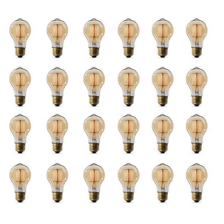 Feit Electric 60-Watt AT19 Dimmable Incandescent Amber Glass Vintage Edison Light Bulb with Cage Filament Soft White (24-Pack)