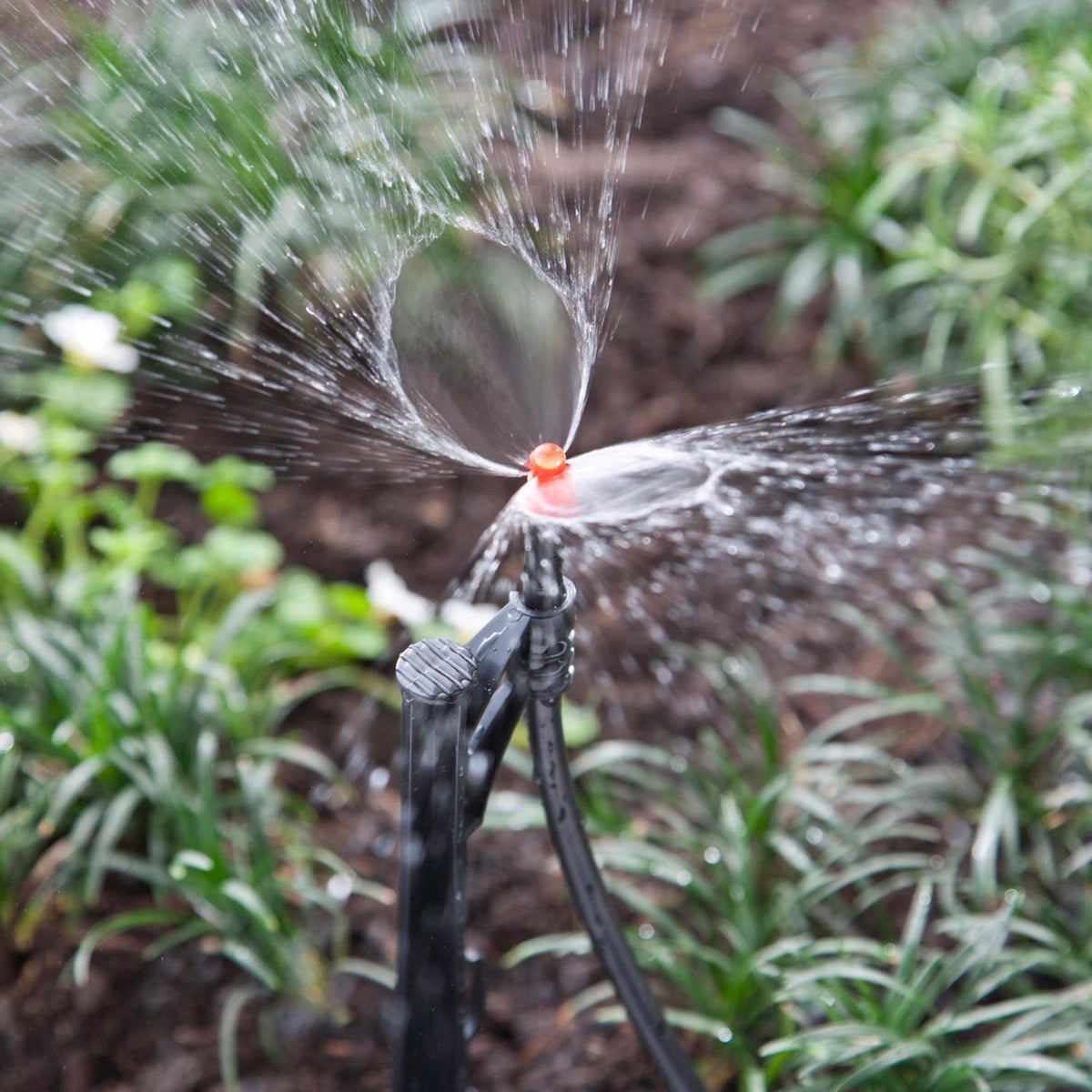 Raindrip Full-Circle Drip Irrigation Sprinkler Head, 31.4 GPH