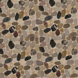 MSI