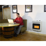 18,000 BTU Vent Free Propane Indoor Outdoor Space Heater (2-Pack) - Super Arbor