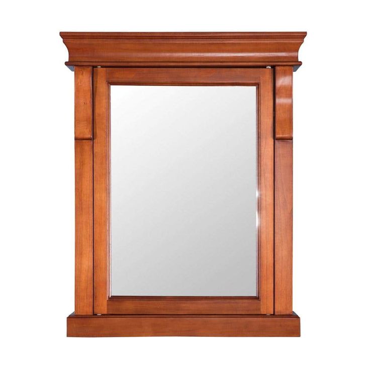 Home Decorators Collection Naples 25 in. W x 31 in. H Rectangular Medicine Cabinet with Mirror
