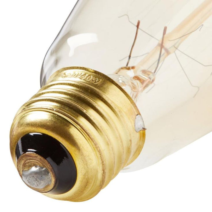 Progress Lighting 40-Watt ST64 Edison E26 Medium Base Vintage Amber Incandescent Light Bulb Warm White