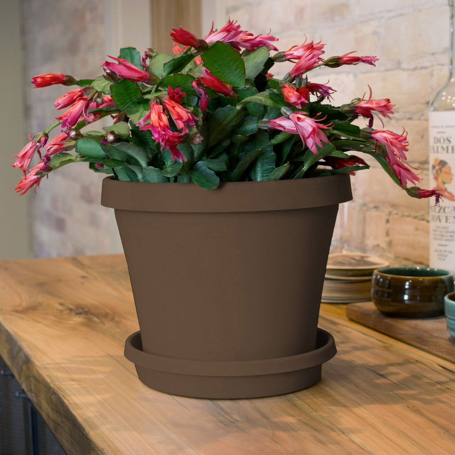Bloem Terra Pot Planter 6" Chocolate