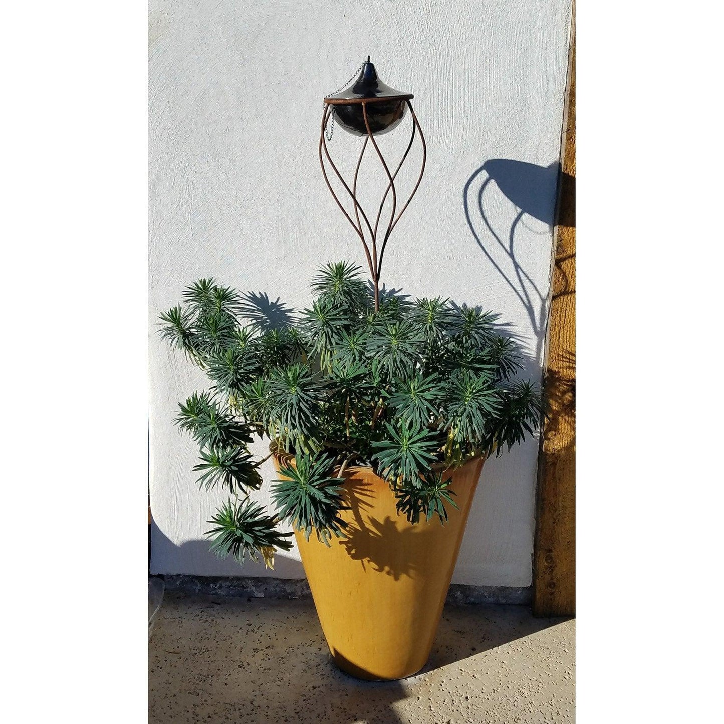 4de7c2a9-2799-4205-8718-99e394a34fd8_1.f224cb0b167691ae6fea801359348fe9_-67826636.jpeg