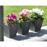 4df9227a-ef25-4c90-b659-7a3d5a462fea_quality=60&_mzcb=_1649148331752_1558694460