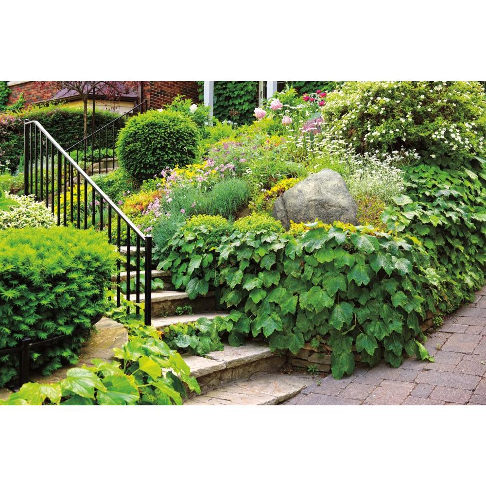 Outdoor Essentials 21 in. x 18 in. x 3.5 in. Tan Small Skimmer Landscape