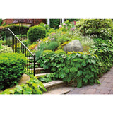 Outdoor Essentials 21 in. x 18 in. x 3.5 in. Tan Small Skimmer Landscape