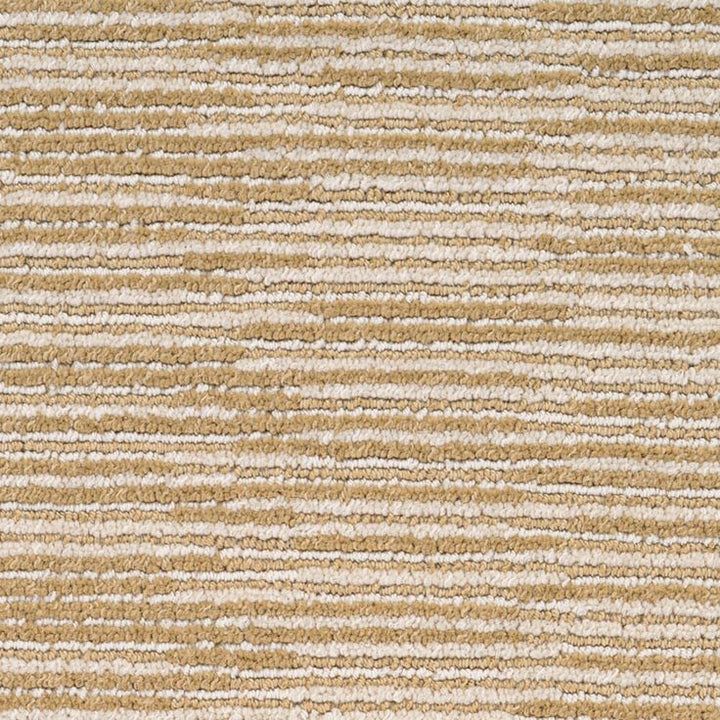 STAINMASTER PetProtect Plantation Cove Canvas Pattern Carpet Sample (Interior)