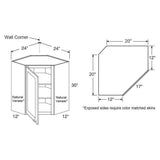 Vesper White Shaker Assembled Plywood 24 in. x 30 in. x 12 in. Wall Diagonal Corner Kitchen Cabinet with Soft Close - Super Arbor