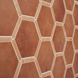 Sagon Terracotta Hexagon Matte Porcelain Tile - 9 Inch