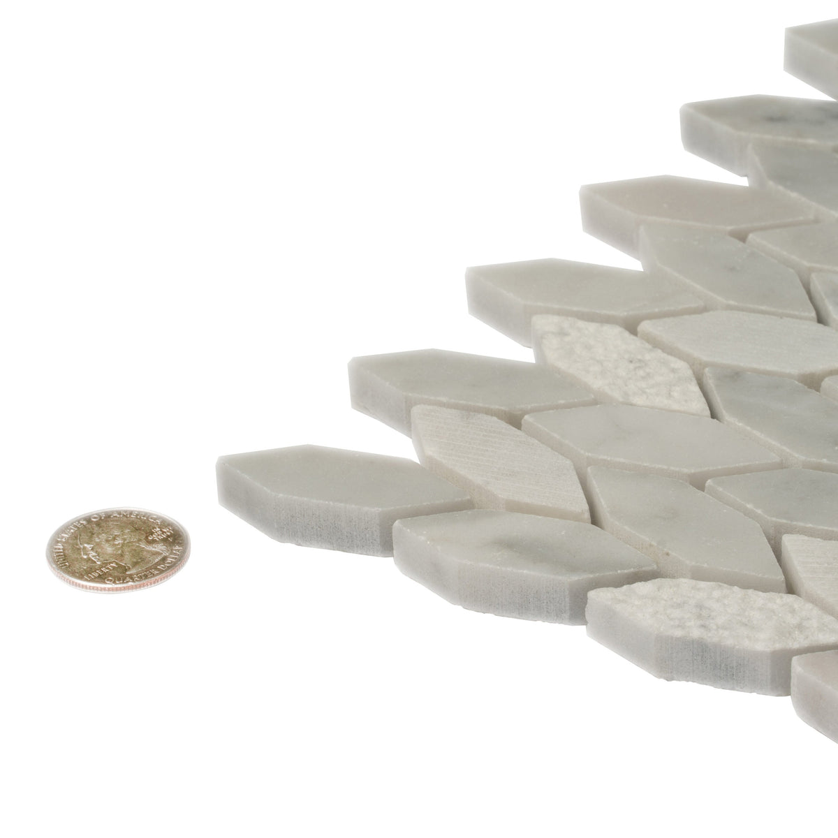 Apollo Tile (Sample) Sparta White 4-in x 4-in Polished Marble Patterned Floor and Wall Tile