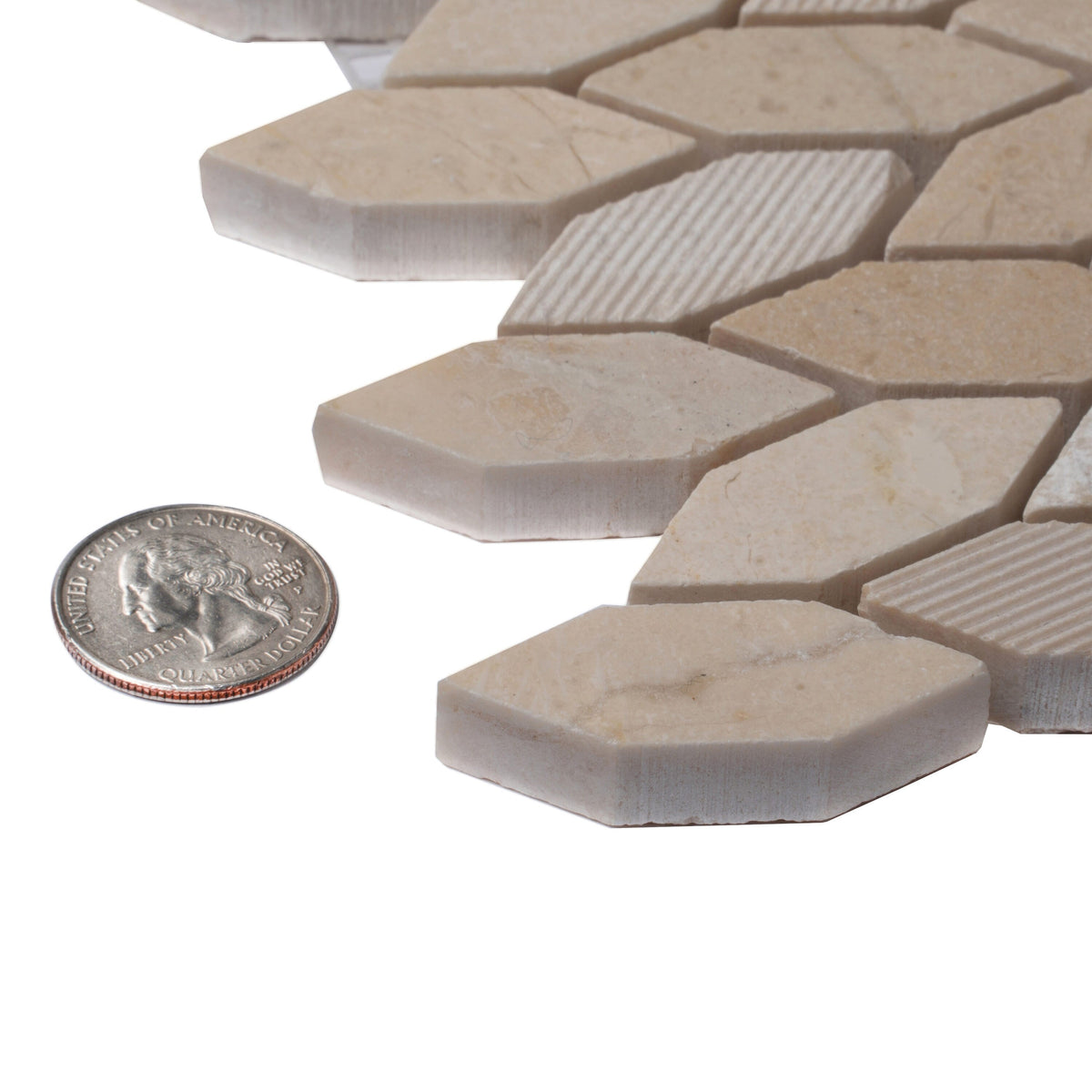Apollo Tile (Sample) Sparta Beige 4-in x 4-in Polished Marble Patterned Floor and Wall Tile