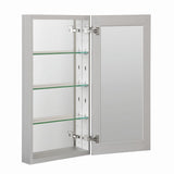 WELLFOR DH 15-in x 36-in Surface/Recessed Mount Satin Aluminum Mirrored Soft Close Medicine Cabinet