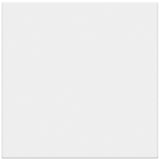 Satori Hudson Brilliant White Glossy Bullnose 4-in x 4-in Glossy Ceramic Wall Tile (10.12-sq ft/Carton)
