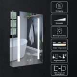 WELLFOR VICK 20-in x 30-in Lighted LED Fog Free Surface/Recessed Mount Silver Mirrored Soft Close Medicine Cabinet with Outlet