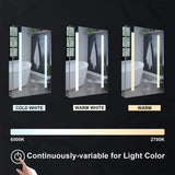 WELLFOR VICK 20-in x 30-in Lighted LED Fog Free Surface/Recessed Mount Silver Mirrored Soft Close Medicine Cabinet with Outlet