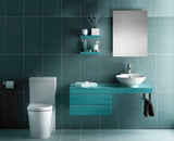 Croydex 16-in x 26-in Surface Mount Polished Stainless Steel Mirrored Medicine Cabinet