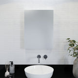 Croydex 20-in x 26-in Surface Mount Polished Stainless Steel Mirrored Medicine Cabinet