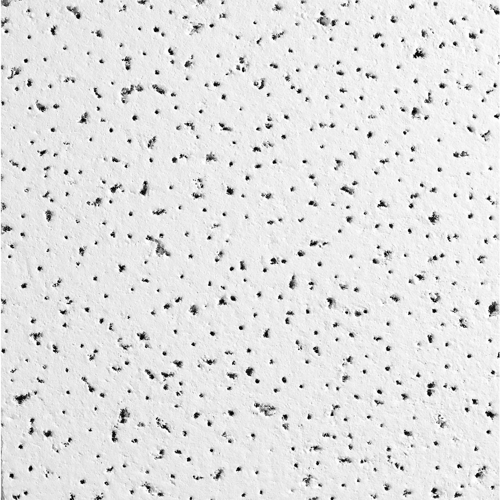 Armstrong Ceilings Fine Fissured 24-in x 24-in Drop Acoustic Panel Ceiling Tiles, White, 16-Pack (15/16-in Grid)