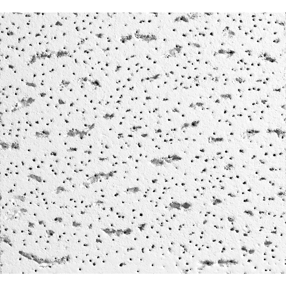 Armstrong Ceilings 24-in x 24-in Fissured White Mineral Fiber Drop Acoustic Ceiling Tiles, Tegular Edge, 16-Pack (64 sq ft)