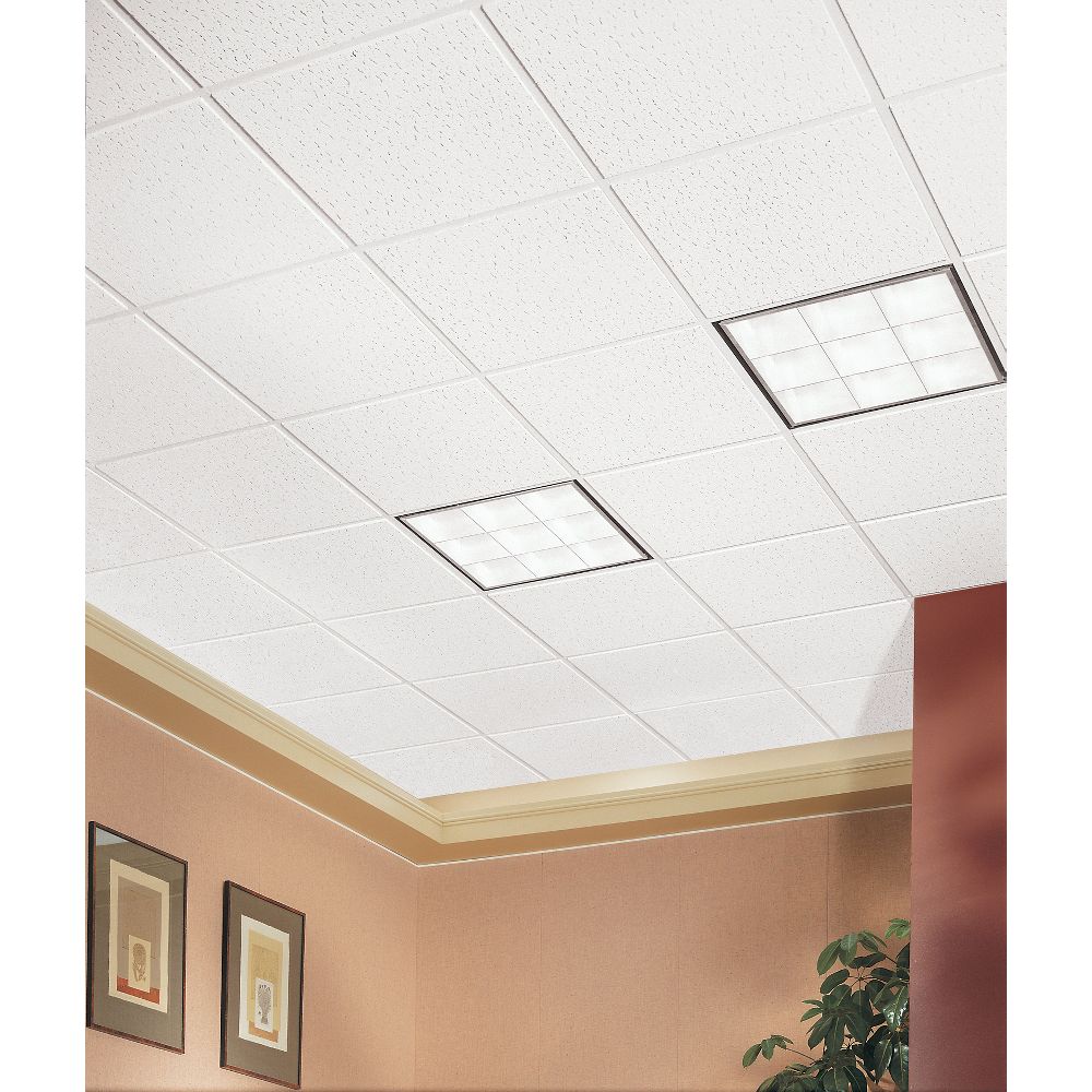 Armstrong Ceilings 24-in x 24-in Fissured White Mineral Fiber Drop Acoustic Ceiling Tiles, Tegular Edge, 16-Pack (64 sq ft)