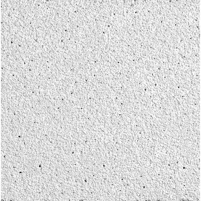 Armstrong Ceilings 2-ft x 2-ft Sahara White Mineral Fiber Drop Ceiling Tile (16-Pack, 64-sq ft / Case)