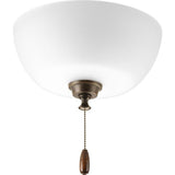 Wisten Collection 2-Light Unfinished Ceiling Fan Light Kit