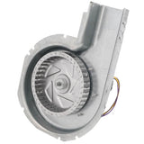 Carrier 50DK406815 motor - detail view (Product Type: Motor)