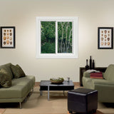 JELD-WEN FiniShield V-4500 35-1/2-in x 35-1/2-in x 3-in Jamb Left-operable Vinyl Black Sliding Window Full Screen Included