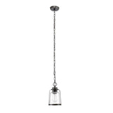 Roth 1-Light Oil Rubbed Bronze Outdoor Indoor Hanging Pendant